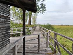 Quelle: Bildungswerk Hochdorf, Gerold Ohlsen